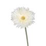 Künstliche Blume Gerbera NALERIAS, creme, 45cm