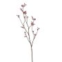 Deko Zweig Celastrus MALAGRA, Früchte, rosa, 110cm