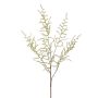 Dekozweig Asparagus acutifolius DORKA, grün, 100cm