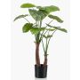 Plastik Pflanze Alocasia Calidora XABIA, grün, 110cm