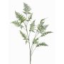 Kunstzweig Asparagus Plumosus FAYNA, 135cm
