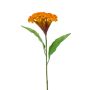 Blume künstlich Hahnenkamm ANUBIS, gelb-orange, 60cm, Ø14cm