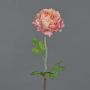 Künstliche Ranunkel ELORIO, rosa-creme, 50cm, Ø10cm
