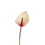 Kunst Flamingoblume NYVERA, rosa-creme, 60cm