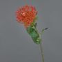 Kunstblume Nadelkissen Protea HERVAS, rot-orange, 70cm, Ø12cm