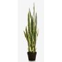 Künstliche Sansevieria ELENE, grün-gelb, 95cm