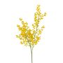 Dekozweig Mimose ORSENNE, gelb, 70cm