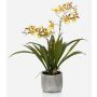 Kunst Oncidium Orchidee COLUNGA im Keramiktopf, gelb-orange, 45cm