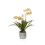 Kunst Oncidium Orchidee COLUNGA im Keramiktopf, gelb-orange, 45cm