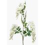 Künstlicher Blauregen Zweig ONORATO mit Blüten, creme, 70cm