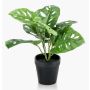Künstlicher Philodendron Monstera adansonii PUYA, 30cm