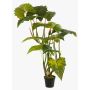 Künstliche Pflanze Colocasia SOTU, grün, 175cm
