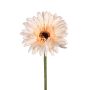 Kunstblume Gerbera RENZIO, lachs, 60cm