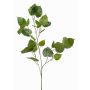 Künstlicher Ficus religiosa Zweig ASCELLA mit Früchten, grün, 95cm