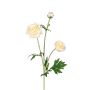 Dekozweig Ranunkel RETIANNE, creme-rosa, 65cm