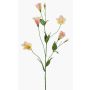 Unechte Blume Lisianthus PAZAN, rosa-creme, 70cm, Ø3-5cm