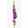 Große Kunstblume Rittersporn SZILVIA, lila, 130cm