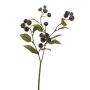 Deko Zweig Wollmispel CARLASIA, Früchte, schwarz-rot, 65cm