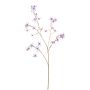 Deko Zweig Tweedia solanoides HESORIA mit Blüten, glamour-lila-blau-gold, 75cm