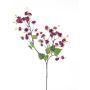 Deko Zweig Physalis LISSANEL mit Früchten, rot, 90cm