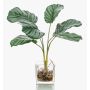 Kunstpflanze Calathea Orbifolia AGINA im Glastopf, grün-weiß, 35cm