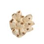 Naturdeko Seepocken / Rankenfußkrebse ISAR, creme, 15cm