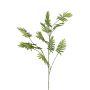 Dekozweig Mimose SAVERIN, grün, 135cm