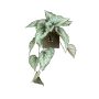 Kunstpflanze Begonie SELISSA hängend, Steckstab, grün, 60cm