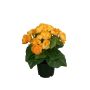 Künstliche Blume Begonie SERIFFA, gelb, 25cm