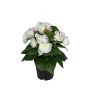 Künstliche Blume Begonie SERIFFA, weiß, 25cm