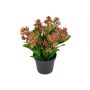 Künstliche Blume Skimmie SETTENA im Dekotopf, dunkelrosa, 16cm