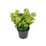 Künstliche Blume Skimmie SETTENA im Dekotopf, grün, 16cm