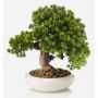 Künstlicher Bonsai Lärche MIRSANDA in Bonsaischale, 35cm