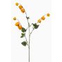 Deko Zweig Physalis TIRFEL mit Früchten, gelb-orange, 95cm