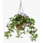 Künstliche Blumenampel Petunie ANGELINE im Korb, crossdoor, lila-violett, 70cm