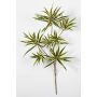 Kunstpflanze Dracaena Reflexa Jamaica Zweig MAYRA, schwer brennbar, grün-gelb, 70cm