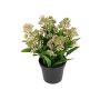 Künstliche Blume Skimmie SETTENA im Dekotopf, hellrosa, 16cm