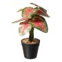 Künstliche Pflanze Caladium WEHNDAS, Dekotopf, grün-rot, 30cm