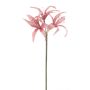 Künstliche Blume Gartenamaryllis SIAMARA, altrosa, 80cm