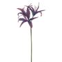 Künstliche Blume Gartenamaryllis SIAMARA, aubergine, 80cm