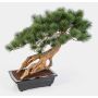 Kunst Bonsai Pinie SARINU in Pflanzschale, 55cm