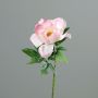 Künstliche Blume Pfingstrose GILUMINA, weiß-rosa, 55cm
