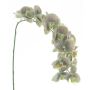 Künstliche Blume Phalaenopsis Orchidee KORAYA, grün-violett, 110cm