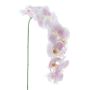 Künstliche Blume Phalaenopsis Orchidee KORAYA, hellrosa-weiß, 110cm
