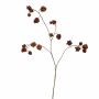 Deko Zweig Physalis BEATINA, Früchte, braun, 90cm