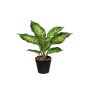Fake Pflanze Dieffenbachia SILNANA, Wurzeln, Dekotopf, grün, 24cm