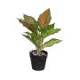 Fake Pflanze Dieffenbachia SILNANA, Wurzeln, Dekotopf, grün-rot, 24cm
