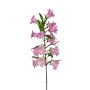 Künstliche Glockenblume SIONNA, rosa, 80cm