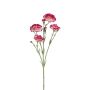 Künstlicher Zweig Nelke SYNDOLIN, creme-magenta, 60cm