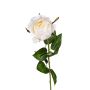 Künstliche Blume Rose TALIAHNA, creme, 65cm